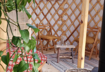 Binnenaanzicht van een Mongoolse yurt met houten stoelen, vloerkleden en een groene kamerplant.
