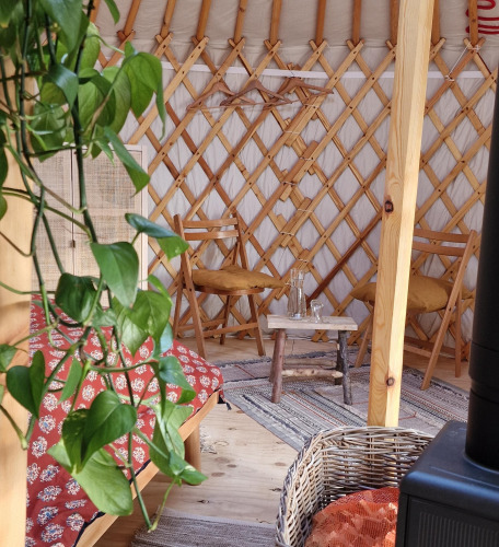 Interior view of a Mongolian yurt with wooden furniture, cozy decor, rugs, and a green houseplant.