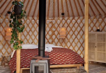 Knus interieur van een Mongoolse yurt met houtkachel, bed, hangplant en mand bij Zomerlicht, Nederland.