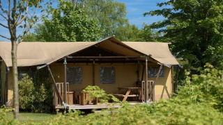 Tenda safari lodge di lusso con veranda immersa nel verde al parco De Kleine Belties, Paesi Bassi.