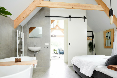 Modern tiny house Wellness Lodge at Holiday Park De IJsvogel, Netherlands, with wood beams and bathtub.