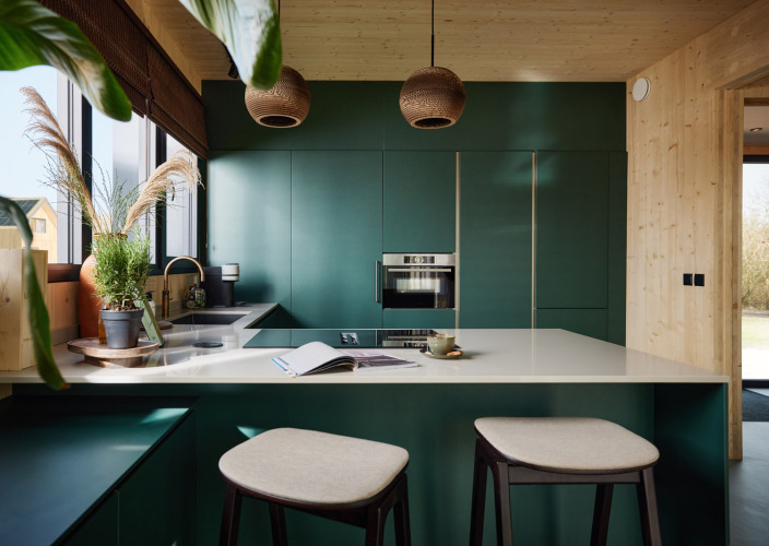 Moderne groene keuken met houten panelen en grote ramen in Unbrick One | Sauna, Brinckerduyn, Nederland.