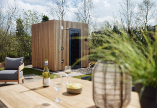 Houten buitensauna bij Unbrick One Lodge in Brinckerduyn, Nederland, met zicht op tuin en terras