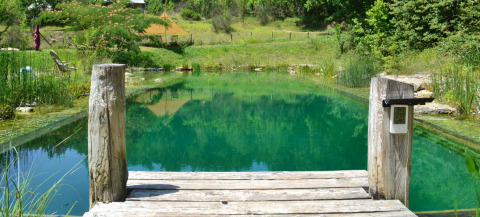 Piscina natural rodeada de vegetación y muelle de madera en Eco domaine Le Camp, Occitanie, Francia.