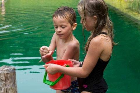 Dos niños junto a un lago en Eco domaine Le Camp, Occitania, Francia, sostienen un cubo y una rana pequeña.