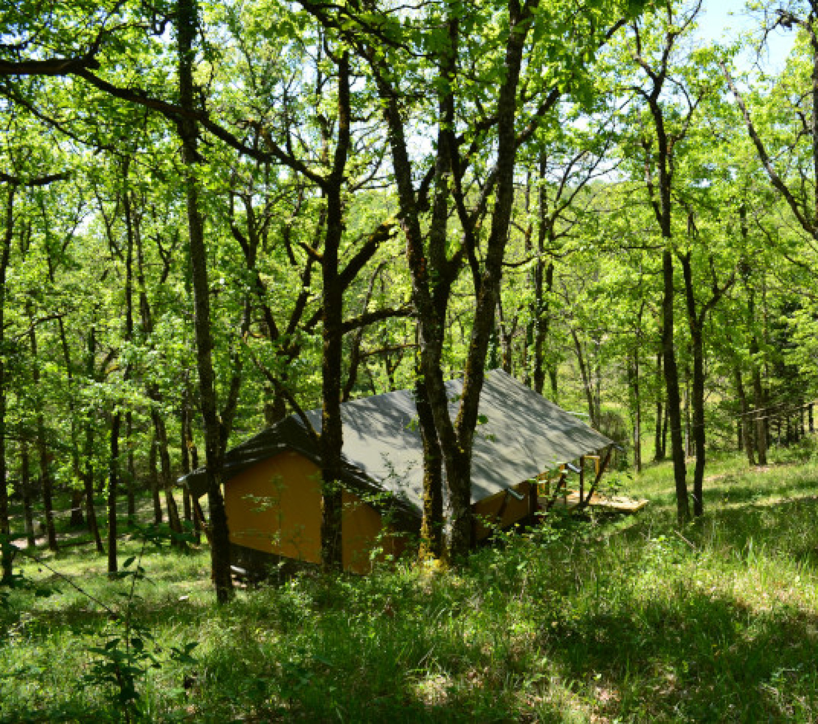Tent Shimoni safaritent verscholen in groene bossen bij Eco domaine Le Camp in Frankrijk, zonnig weer.