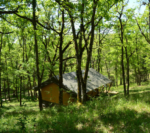 Tent Shimoni safaritent verscholen in een bosrijk Eco domaine Le Camp in Frankrijk, gefilterd zonlicht.