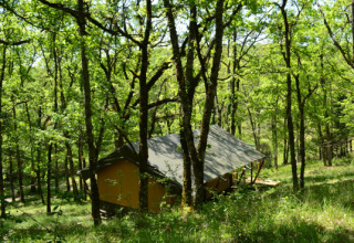 Tienda safari Tent Shimoni entre árboles verdes en Eco domaine Le Camp, Francia, luz solar moteada.