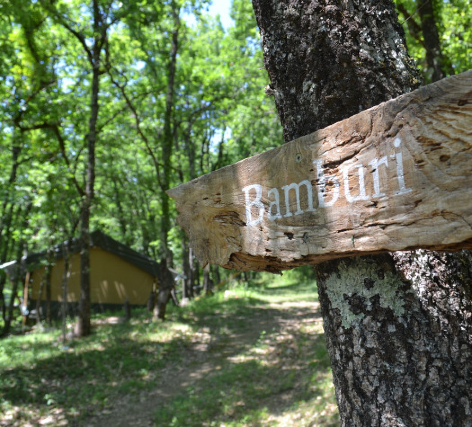 Houten bord met 'Bamburi' aan een boom, bij safaritent in het bos van Eco domaine Le Camp, Frankrijk.
