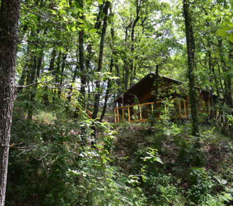 La tienda safari Tent Bamburi entre árboles densos en un bosque, parcialmente oculta por vegetación verde.