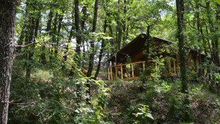 La tente safari Tent Bamburi cachée parmi les arbres d'une forêt, en partie dissimulée par la végétation.