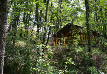 Safari-Zelt Tent Bamburi in einem dichten, grünen Wald versteckt, umgeben von üppiger Vegetation.