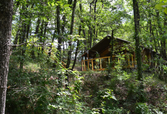 La tenda safari Tent Bamburi immersa tra alberi fitti in una foresta, parzialmente nascosta dal fogliame.