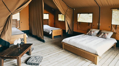 Intérieur de la tente safari Lodgetent Chrysalide à l’Eco domaine Le Camp, sol en bois et lits confortables.