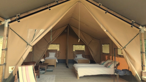 Safari-Zelt Lodgetent Chrysalide mit drei Betten, komfortabler Einrichtung und offenem Zelteingang.