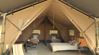 Safari tent Lodgetent Chrysalide featuring three beds and cozy furnishings with an open front entrance.