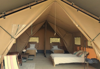 Safari telt Lodgetent Chrysalide med tre senge, moderne møbler og åben indgang i naturmiljø.