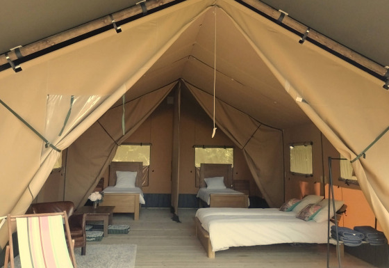 Tienda safari Lodgetent Chrysalide con tres camas, muebles cómodos y entrada abierta en plena naturaleza.