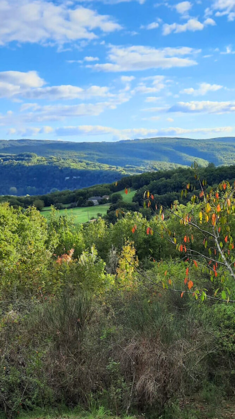 Udsigt over frodige grønne bakker og skov fra Lodgetent Chrysalide på Eco domaine Le Camp i Frankrig.