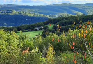 Udsigt over frodige grønne bakker og skov fra Lodgetent Chrysalide på Eco domaine Le Camp i Frankrig.