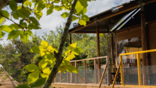 Tente safari Tent Lodge Maasai Mara avec des feuilles vertes au premier plan et terrasse en bois.