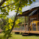 Safari teltet Tent Lodge Maasai Mara med grønne blade i forgrunden og træterrasse under en blå himmel.