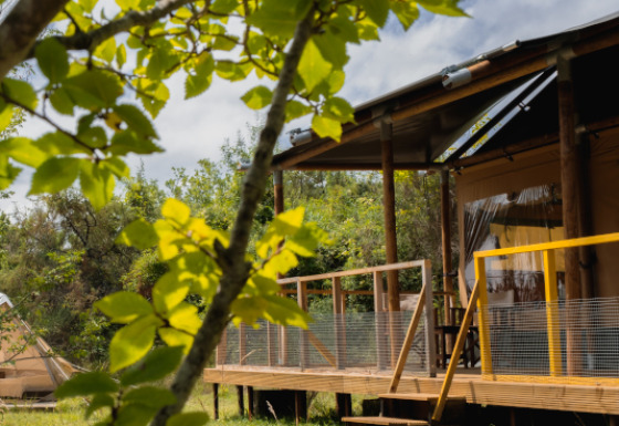 Tienda de safari Tent Lodge Maasai Mara con hojas verdes en primer plano y terraza de madera al fondo.