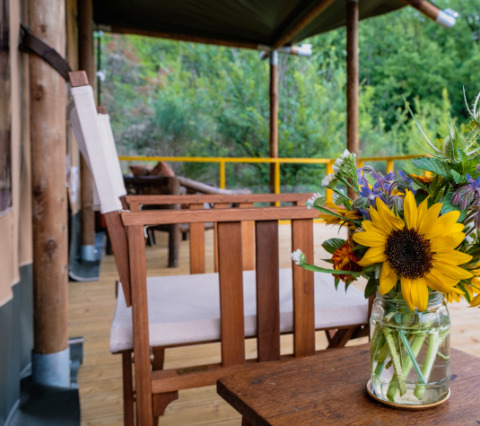 Holzterrasse mit Sonnenblumen in einer Glasvase bei Tent Lodge Maasai Mara im Eco domaine Le Camp, Frankreich.