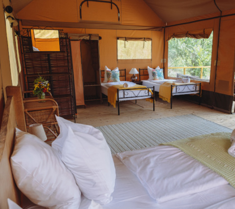 Interior de una tienda safari con cómodas camas en Tent Lodge Maasai Mara, Eco domaine Le Camp, Francia.