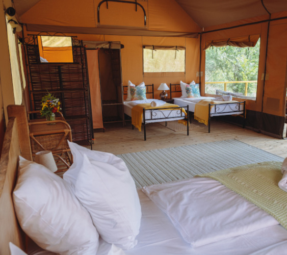 Interior de una tienda safari con cómodas camas en Tent Lodge Maasai Mara, Eco domaine Le Camp, Francia.