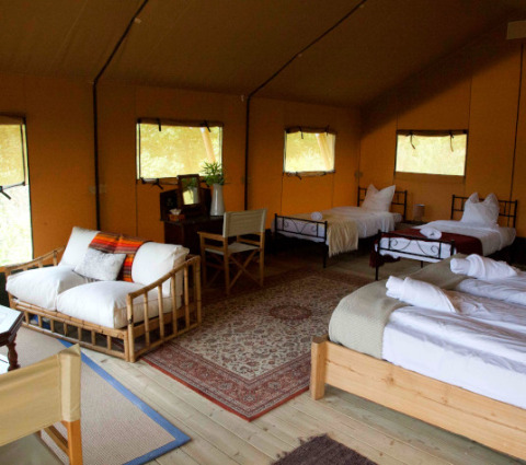 Indretning af en rummelig safaritelte med flere senge, sofa og træmøbler i Eco domaine Le Camp, Frankrig.