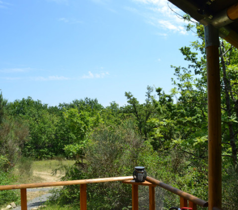 View from safari tent Lodgetent Meru at Eco domaine Le Camp in France, showing lush greenery and blue sky.