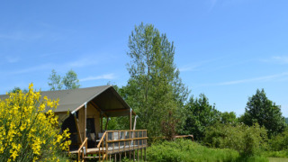 Tienda safari Lodgetent Mont Kenya en plena naturaleza, flores amarillas y cielo azul de fondo.