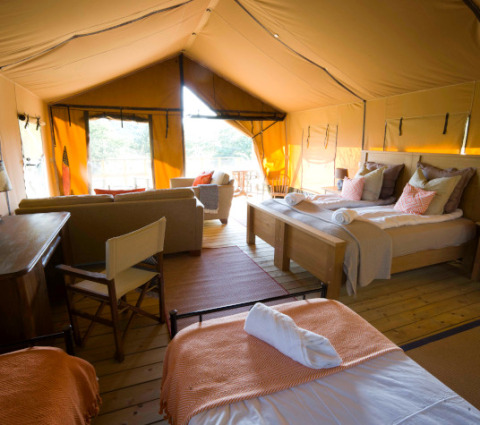 Vista interior de la tienda de safari Lodgetent Mont Kenya en Eco domaine Le Camp en Francia con cómodas camas.