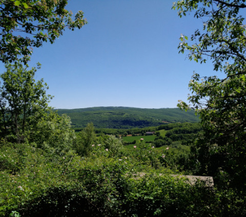 Uitzicht op groene heuvels en velden vanuit Lodgetent Mont Kenya bij Eco domaine Le Camp, Frankrijk.