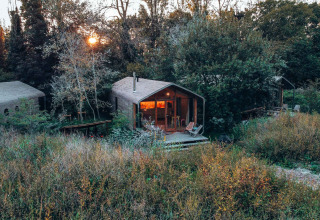 Træhytter og frodig natur i Les Cabanes d'Ostende feriepark, omgivet af højt græs og skov i Belgien.