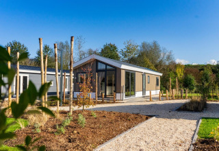 Moderna lodge Velthorst a Zilverstrand in Belgio, circondata da giardini e alberi in una giornata soleggiata.