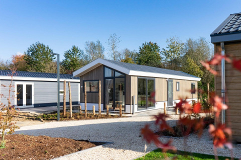 Moderne Velthorst-Lodge im Zilverstrand, Belgien, mit großen Fenstern und grüner Vegetation.
