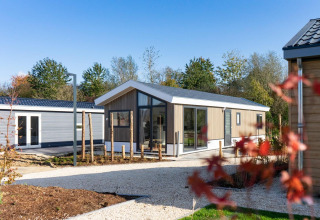 Lodge Velthorst moderno a Zilverstrand in Belgio, con grandi finestre e un ambiente tranquillo.