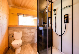 Baño en la cabaña Sunshine en Petite Suisse, Bélgica, con ducha moderna, inodoro y lavamanos elegante.