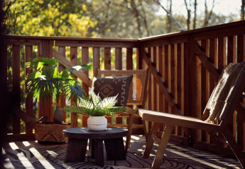 Outdoor sitting area at Glamping tent Hacienda, Resort de Parel, Netherlands, with chairs, plants, and sunlight.