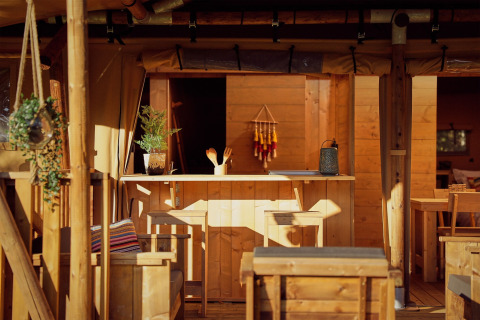 Intérieur de tente safari avec mobilier en bois, comptoir de bar, plantes suspendues et lumière douce.