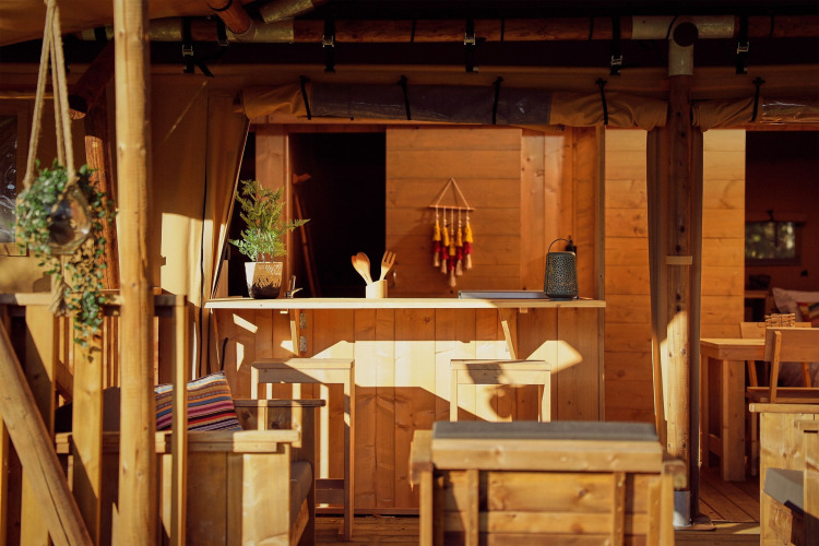 Interior de tienda safari con muebles de madera, barra, plantas colgantes y luz cálida de la tarde.