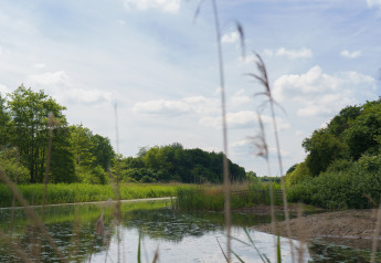 Lago tranquilo con juncos y árboles junto a la tienda Glamping La Vida Aqua en Resort de Parel, Países Bajos.