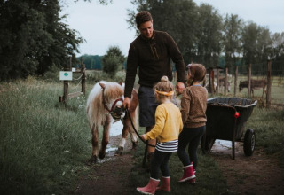 Een gezin met twee kinderen en een volwassene wandelt met een pony op Feather Down Hoeve Brugge in West-Vlaanderen.