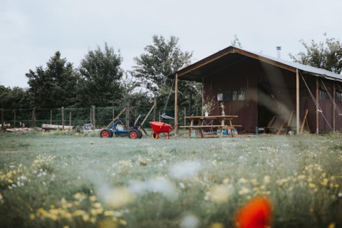 Cabane rustique avec table de pique-nique et jouets sur pelouse à Feather Down Hoeve Brugge, Belgique.
