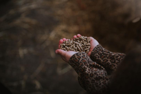 Manos de un niño sostienen pellets de alimento en Feather Down Hoeve Brugge, parque vacacional en Flandes Occidental, Bélgica.