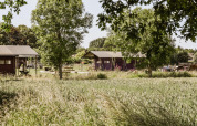 View of cozy safari tents and green surroundings at Feather Down Hoeve Brugge holiday park, Belgium.