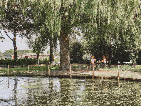 Zwei Personen sitzen an einem Tisch unter einem großen Baum an einem Teich im Feather Down Hoeve Brugge.