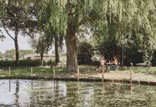 Zwei Personen sitzen an einem Tisch unter einem großen Baum an einem Teich im Feather Down Hoeve Brugge.
